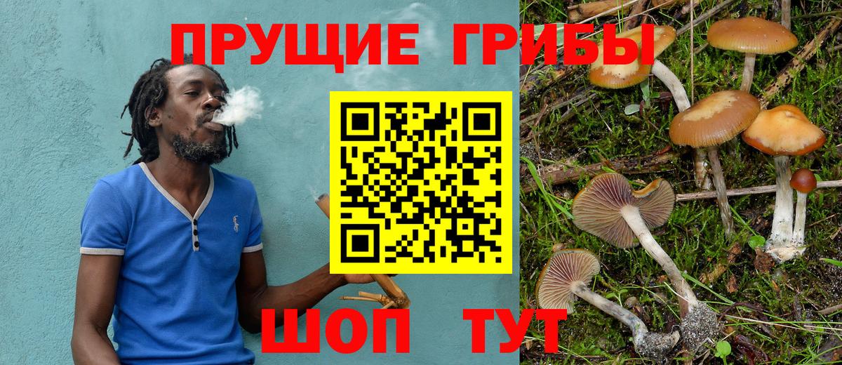 Галлюциногенные грибы Psilocybine cubensis  Псилоцибиновые грибы ЛСД  Гудермес  Вход с VPN 