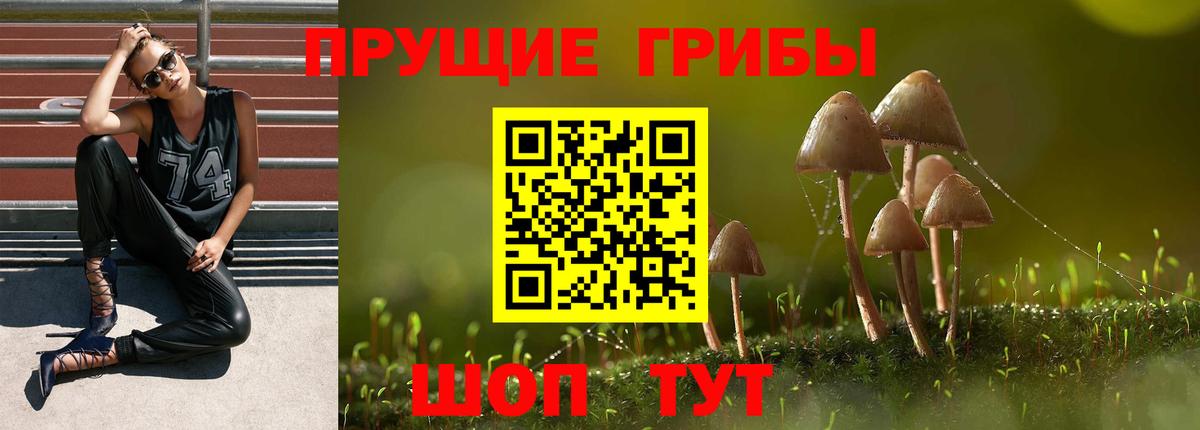 Псилоцибиновые грибы прущие грибы Гудермес